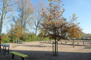 Buitenbanen met bomen