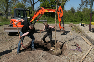 Bomen planten